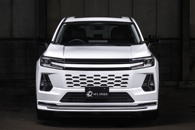 AXAN64 AXAP64 RAV4 Z 2025/12- LUV LINE フロントグリルガーニッシュ